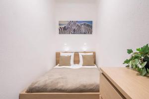 Central Large and Comfy Apartment