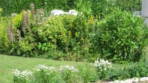 Appartements Studio charmant a Vierville-sur-Mer - 30m² avec jardin : photos des chambres