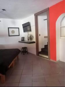 Independent studio in Leon,Guanajuato