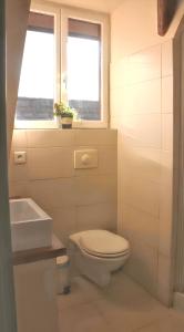 Appartements Appartement cosy avec cheminee a Eguisheim - 110m² - Terrasse : photos des chambres