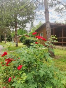 Chalets Chalet confortable a Presles-et-Boves - 40 m² avec jardin : photos des chambres