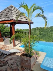 Charmant Bungalow avec vue sur la mer à Marigot, 60 m², piscine. - 4hvězdičkové hotely ve městě Vieux-Habitants