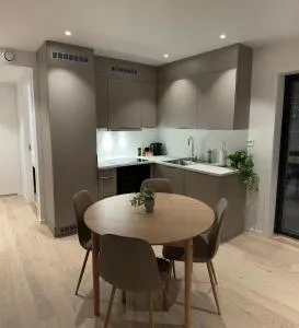 Brand new apartment, close to the city centre, Northern lights, shops - 基尔匹斯扎我维