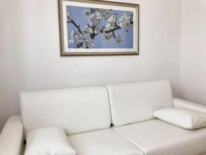 Welcoming apartment in Novigrad, 40 m² with peaceful garden