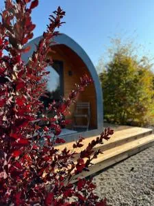 Dančí zátiší - Polevsko