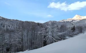 Appartements Appartement confortable avec vue sur la montagne : photos des chambres