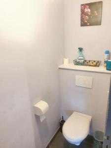 Maison moderne à Saint-Pol-de-Léon avec jardin privé