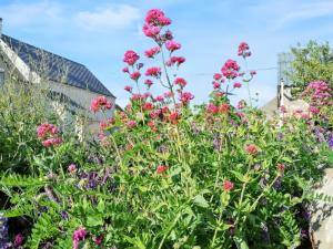 Maisons de vacances Maison charmante a La Chapelle-Saint-Martin-en-Plaine avec jardin : photos des chambres