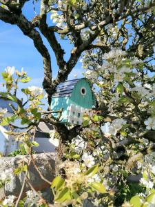 Maisons de vacances Maison charmante a La Chapelle-Saint-Martin-en-Plaine avec jardin : photos des chambres