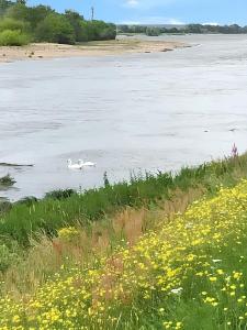 Maisons de vacances Maison charmante a La Chapelle-Saint-Martin-en-Plaine avec jardin : photos des chambres