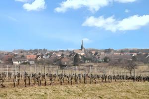 Maisons de vacances Maison de charme a Wuenheim avec jardin et terrasse : photos des chambres