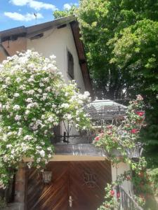 Maisons de vacances Maison de charme a Wuenheim avec jardin et terrasse : photos des chambres