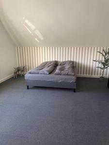 Large 1st floor apartment