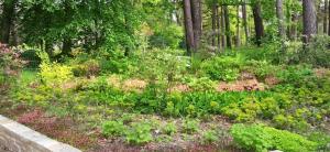 Maison de charme à Arbonne-la-Forêt avec terrasse-jardin verdoyant