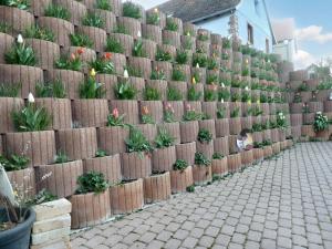 Appartement cosy à Bernardvillé 60 m² avec jardin vue montagne