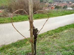 Appartement cosy à Bernardvillé 60 m² avec jardin vue montagne
