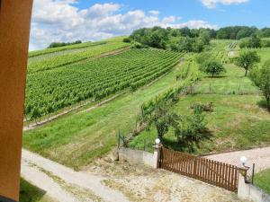 Appartements Appartement cosy a Bernardville 60 m² avec jardin vue montagne : photos des chambres