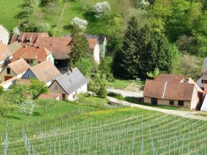 Appartements Appartement cosy a Bernardville 60 m² avec jardin vue montagne : photos des chambres