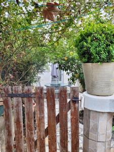 Appartement cosy La Seyne-sur-Mer 55m² avec jardin