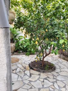 Appartement cosy La Seyne-sur-Mer 55m² avec jardin