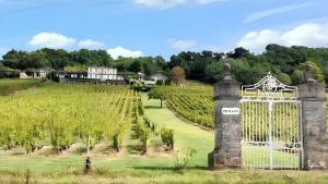 Maisons de vacances Maison charmante au coeur de Sainte-Croix-du-Mont avec jardin : photos des chambres