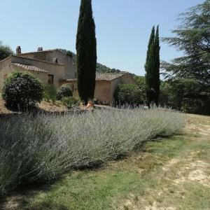 Appartements L-Atelier de Maison VB : photos des chambres