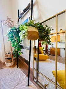 Studio rénové climatisé tout confort - Lit Queen size - emplacement idéal près des plages