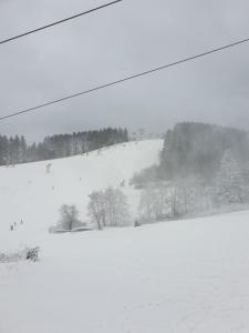 Waldhof Hochsauerland