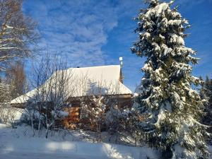 Mountain chalet SmoLenisko domek w górach