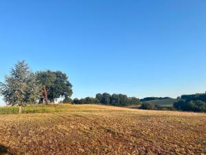 Maisons de vacances Les vallons de Gascogne : photos des chambres