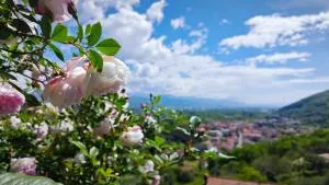 Trebiano a casa dei nonni - Il Romito