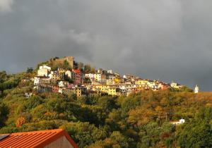 Trebiano a casa dei nonni