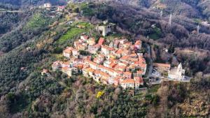 Trebiano a casa dei nonni