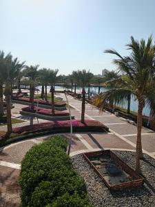 درة أبراج المارينا Dora Al marina