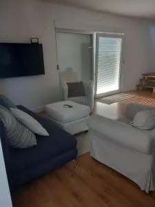 The vineyard - 伊万尼奇格勒