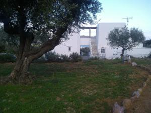 Studios Evdokia Sifnos Greece