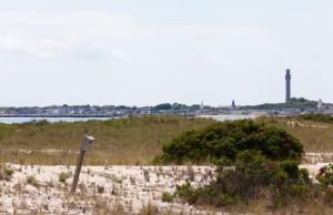 Waters edge renovated Condo with Marina Views