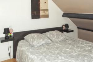 Appartements Studio confortable a Pedernec - 27m² - Terrasse ensoleillee : photos des chambres