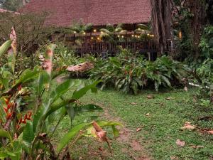 Tambopata Research Center