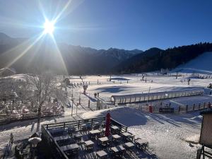 Appartements Appartement vue sur les Pyrenees 4pers aux pieds des pistes : photos des chambres