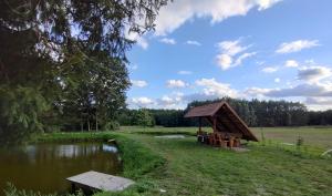 Agroturystyka Wiktorówka