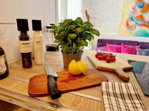 Beautiful condo near Bryggen Balcony Fireplace