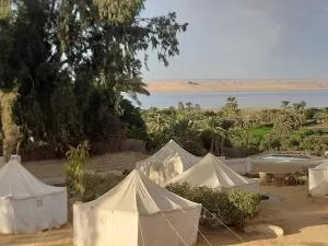Tunis Camp Fayoum - Minshaʼat as Sādāt