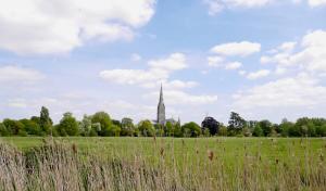 Salisbury Sanctuary nr City w Garden & Parking