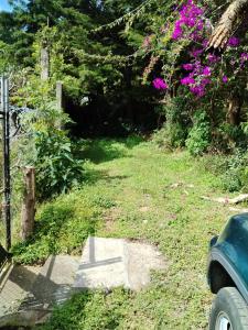 Granja Triple A