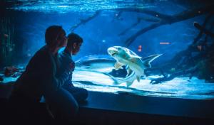 Sleep well in Cozy hideout - Bryggen across the bay