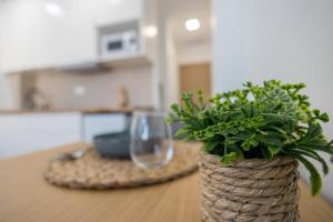 Loft Zarcillo - Design & Relax by the Sea