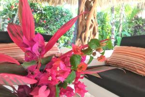 Charming house with private pool in Las Terrenas