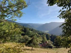 Appartement rez-de-chaussée dans vielle ferme au coeur des Vosges - 普兰凡