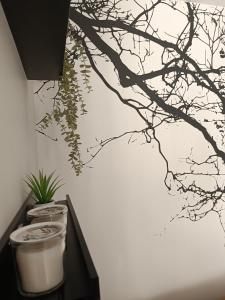 Appartements Meuble 3 etoiles - PISCINE- BALCON - TENNIS : photos des chambres